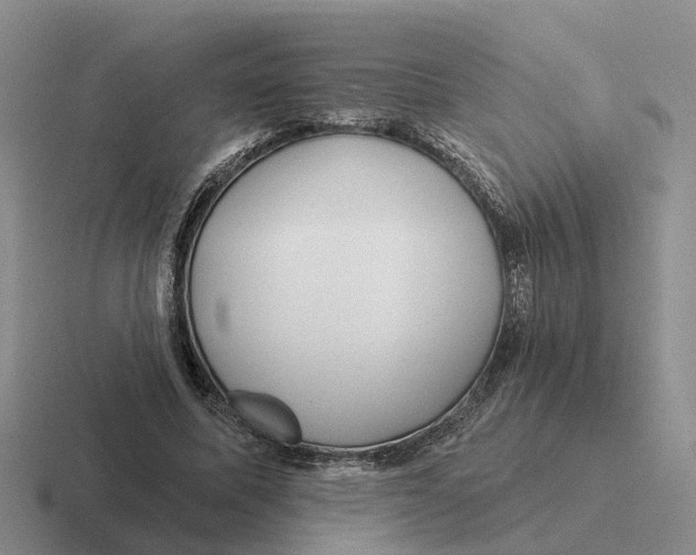 X0000116670587201001041131