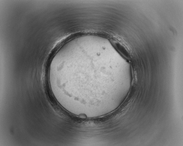 X0000116670588201001041131