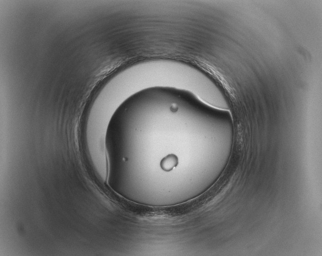 X0000116670589201001041131