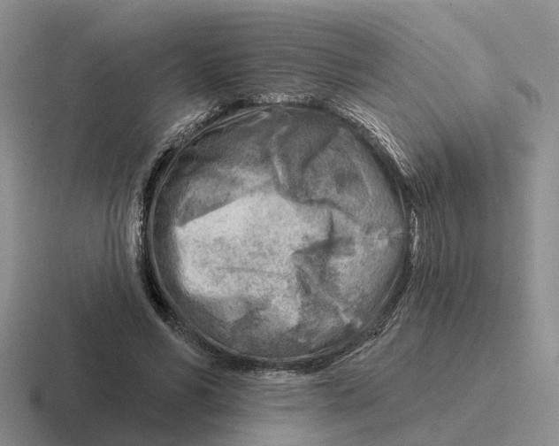 X0000116670590201001041131