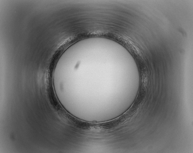 X0000116670591201001041131