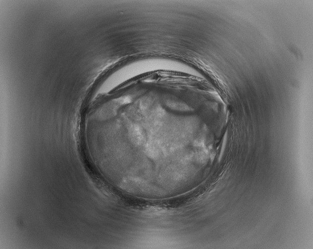 X0000116670592201001041131