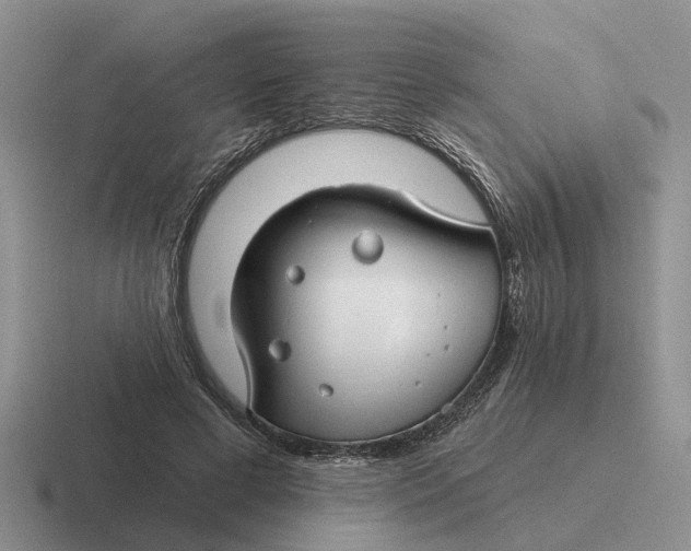 X0000116670593201001041131