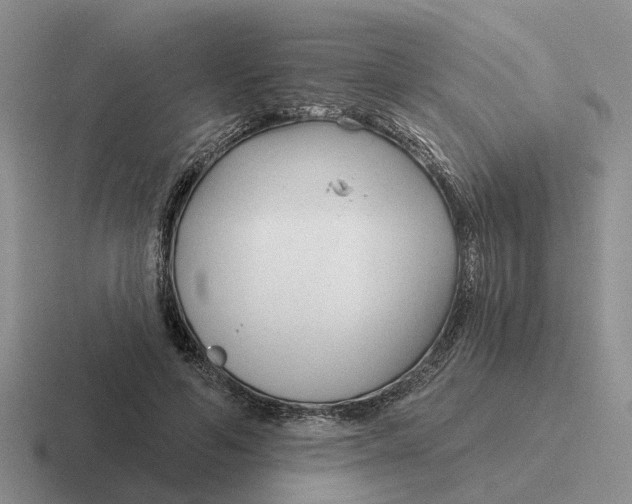 X0000116670594201001041131