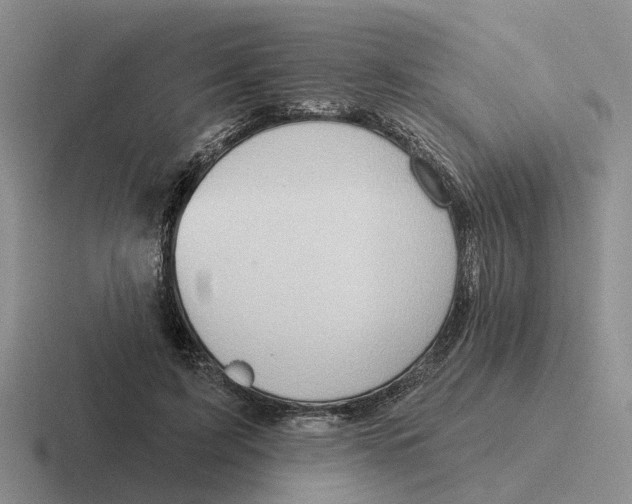 X0000116670595201001041131