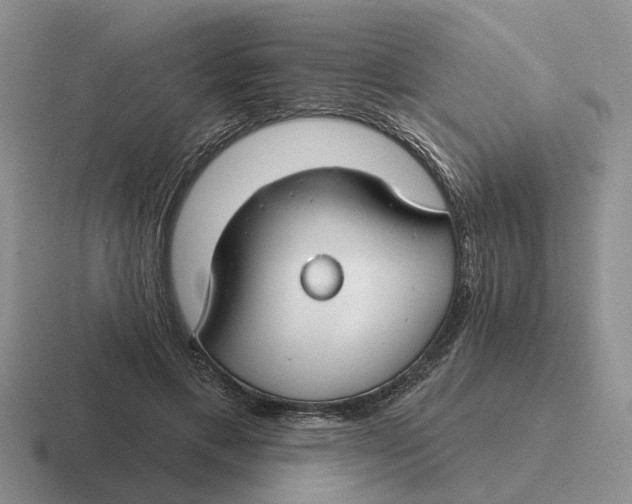 X0000116670597201001041131