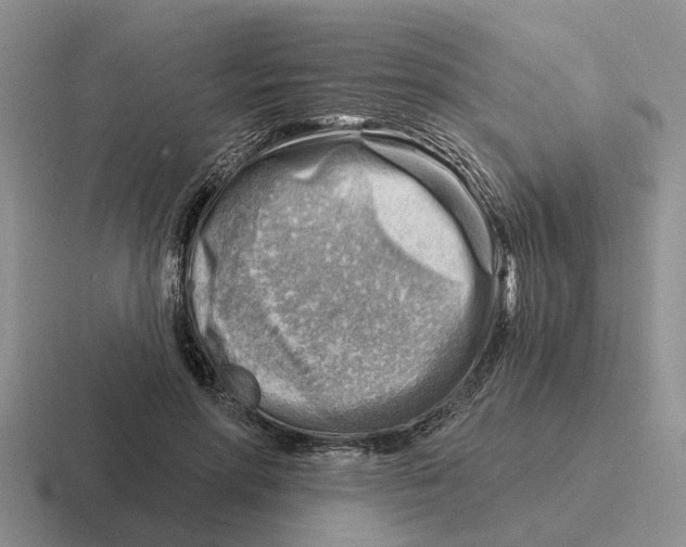 X0000116670598201001041131