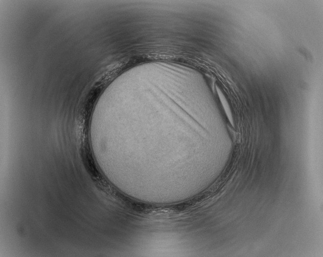 X0000116670599201001041131