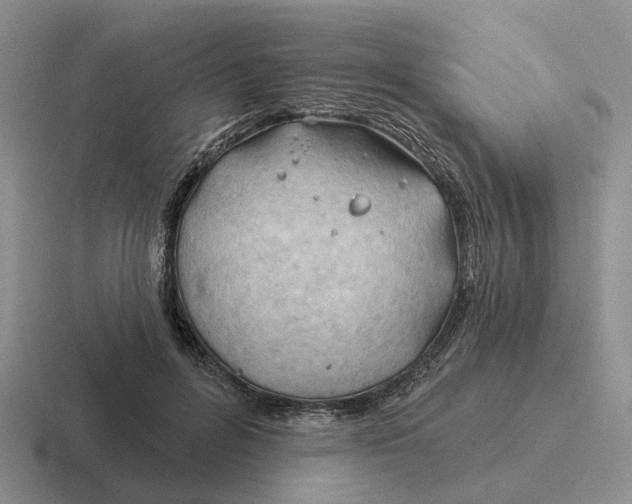 X0000116670600201001041131