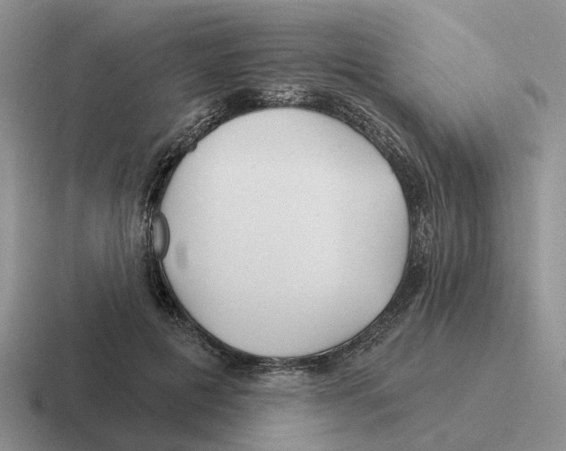 X0000116670601201001041131