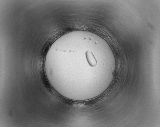 X0000116670602201001041131