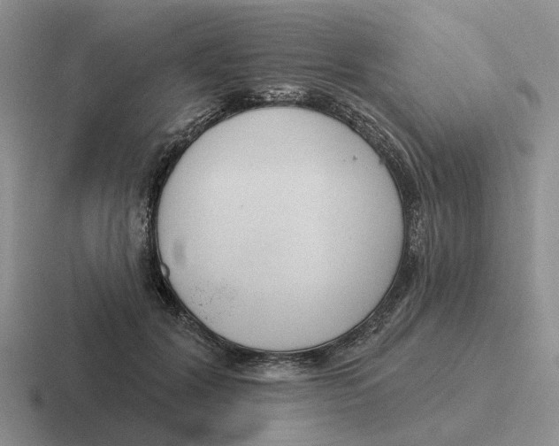 X0000116670604201001041131