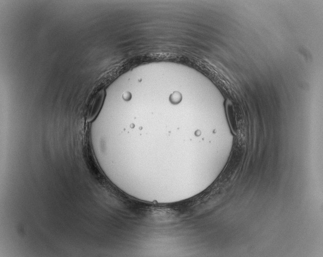 X0000116670605201001041131