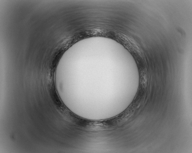 X0000116670607201001041131