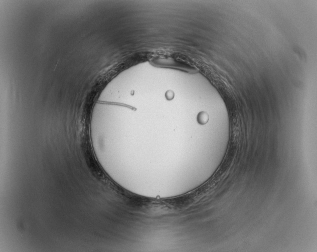 X0000116670608201001041131