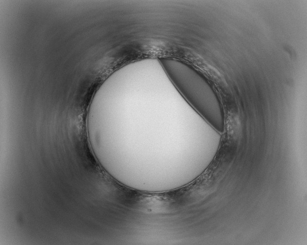 X0000116670611201001041131