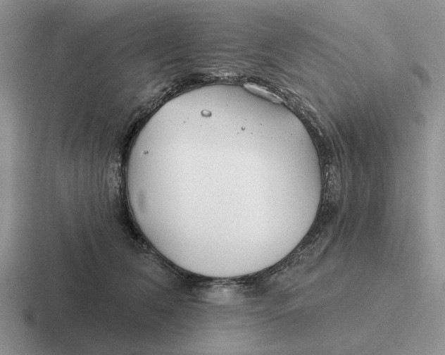 X0000116670612201001041131