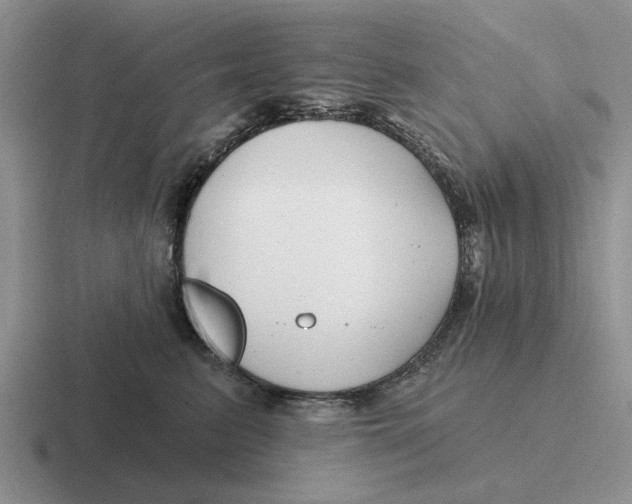 X0000116670615201001041130