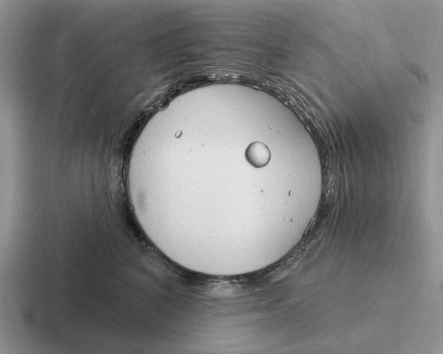 X0000116670616201001041130