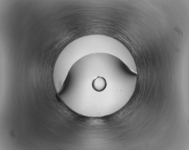 X0000116670617201001041130