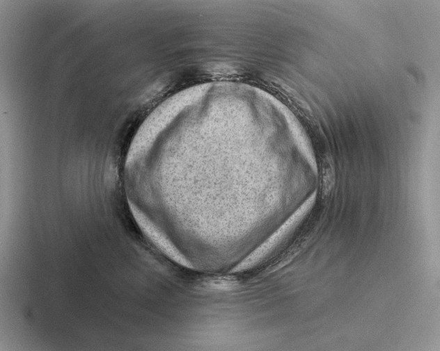 X0000116670618201001041130