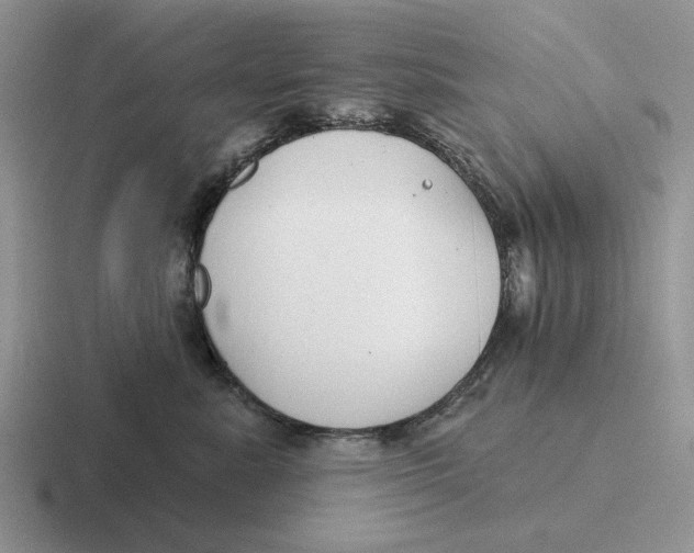 X0000116670619201001041130