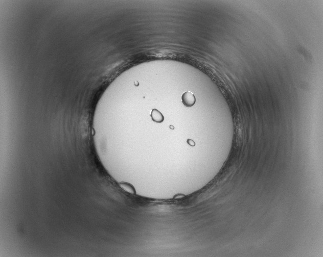 X0000116670620201001041130