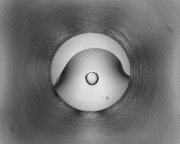 X0000116670621201001041130