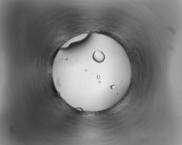 X0000116670624201001041130