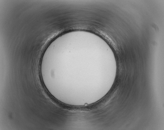 X0000116670625201001041130