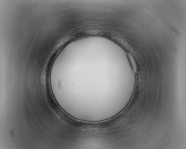 X0000116670626201001041130