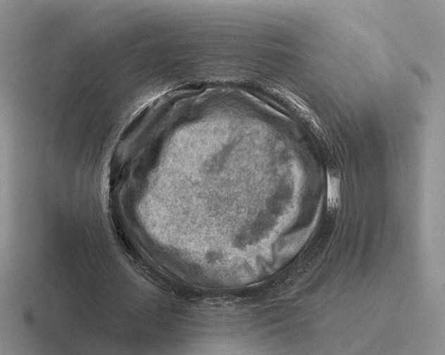 X0000116670627201001041130