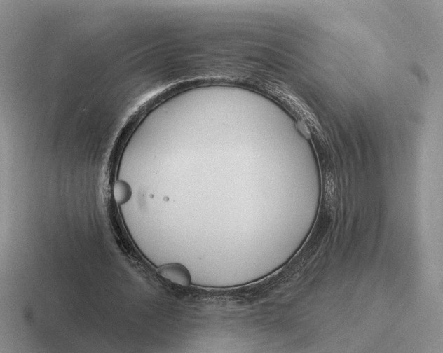 X0000116670628201001041130