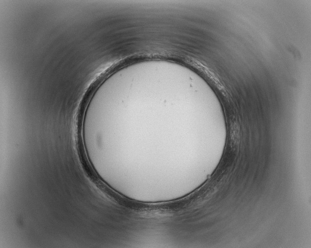 X0000116670629201001041130