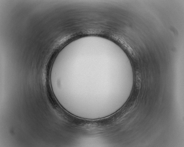 X0000116670631201001041130