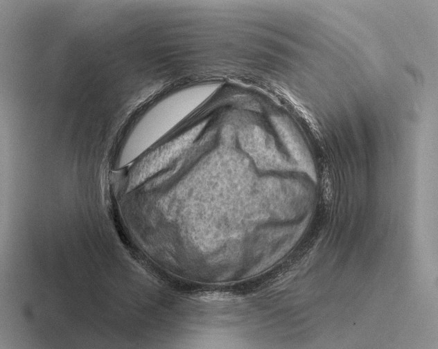 X0000116670637201001041130