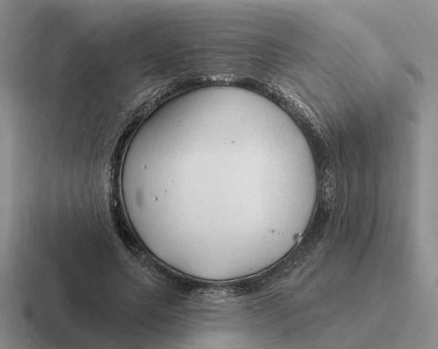 X0000116670639201001041130