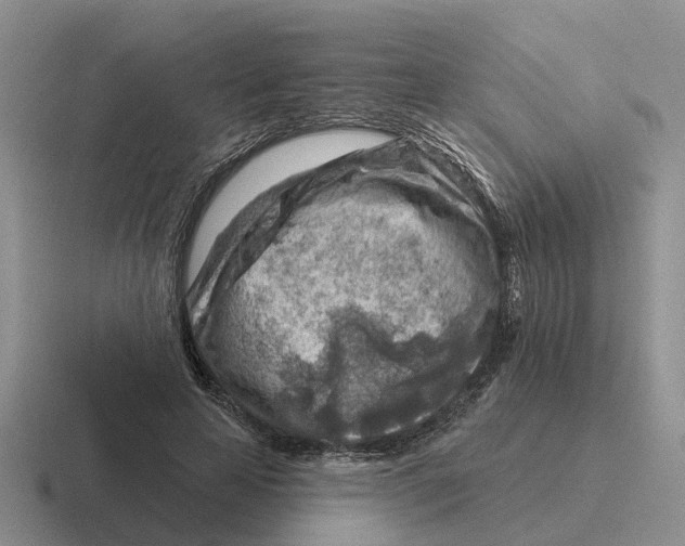 X0000116670641201001041130