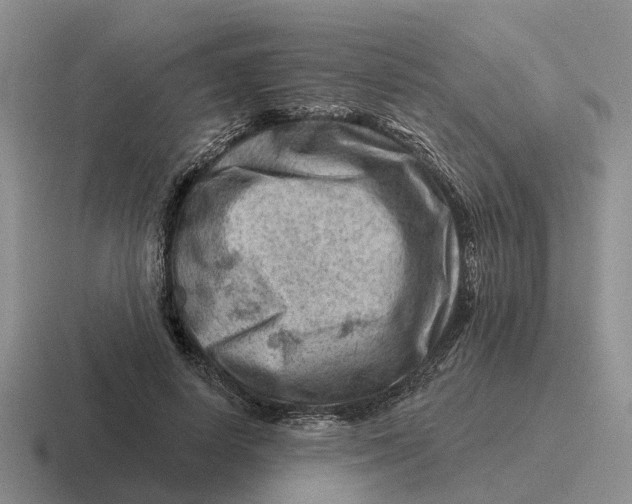 X0000116670642201001041130