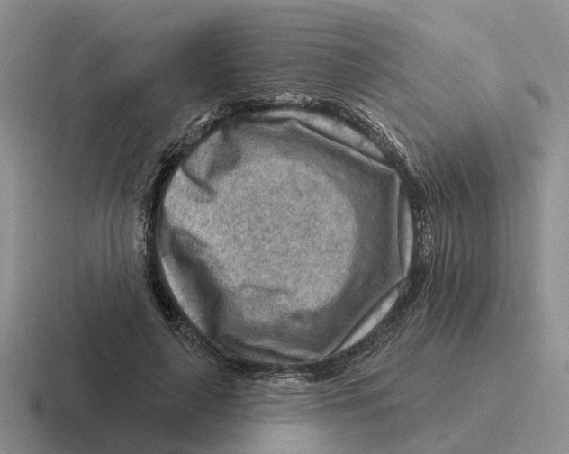 X0000116670643201001041130