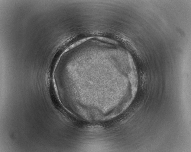 X0000116670644201001041130