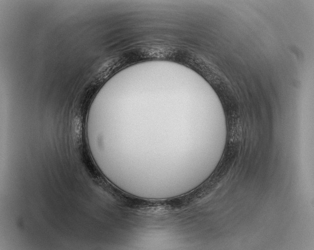 X0000116670646201001041130