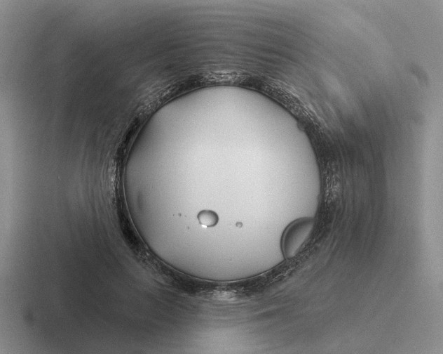 X0000116670647201001041130