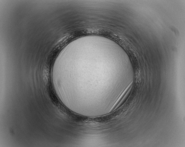 X0000116670648201001041130