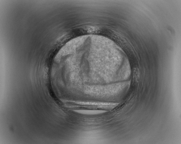 X0000116670650201001041130