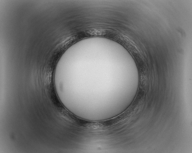 X0000116670652201001041130