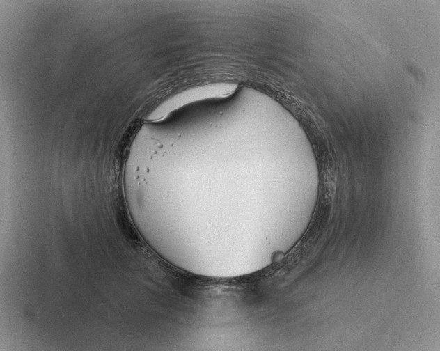 X0000116670657201001041130