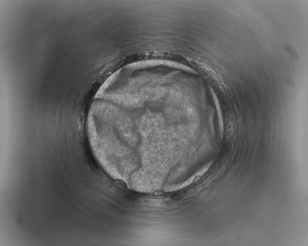 X0000116670661201001041130