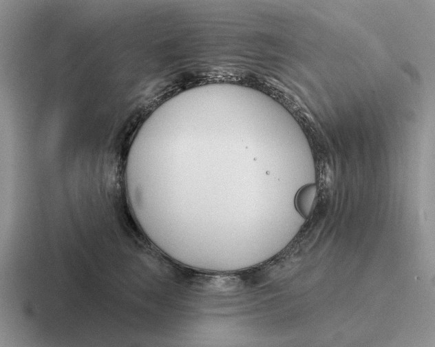 X0000116670663201001041130