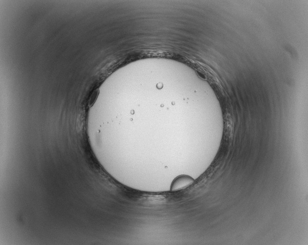 X0000116670665201001041130